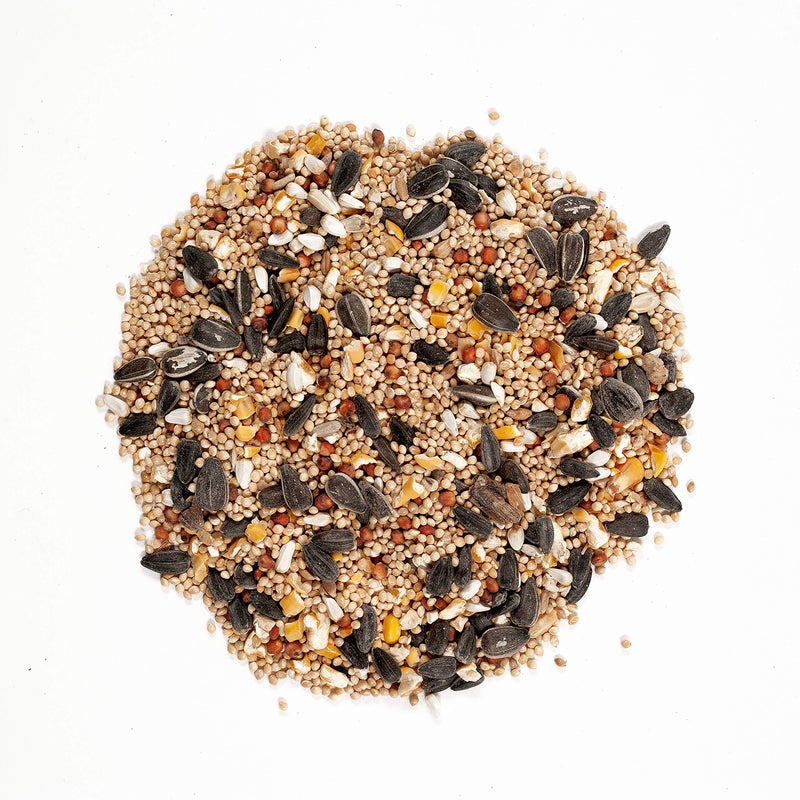 Wagner's 62011 Eastern Regional Blend Wild Bird Food, 8-Pound Bag - Image 3